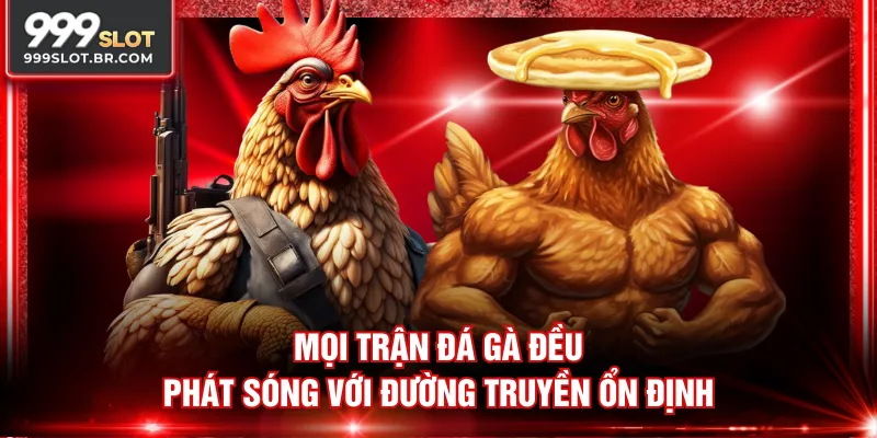 Mọi trận đá gà đều phát sóng với đường truyền ổn định