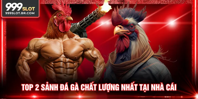 Top 2 sảnh đá gà chất lượng nhất tại nhà cái